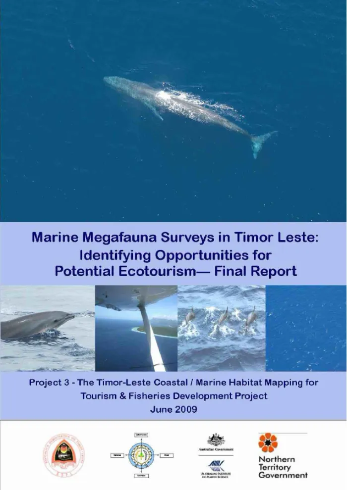Marine Megafauna Surveys in Timor Leste