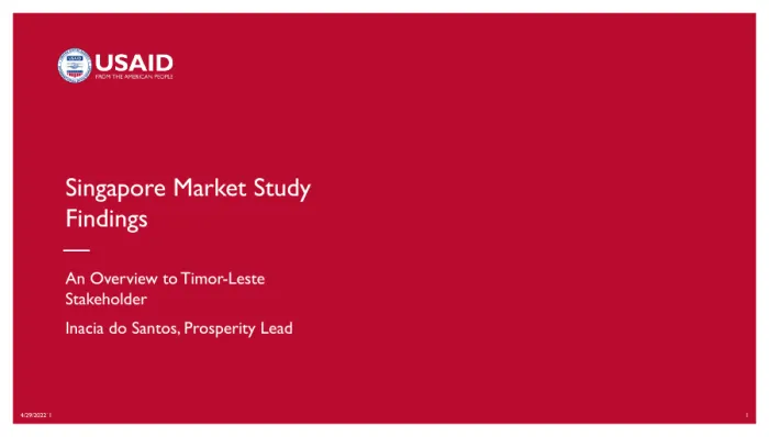 Singapore Market Study Findings
