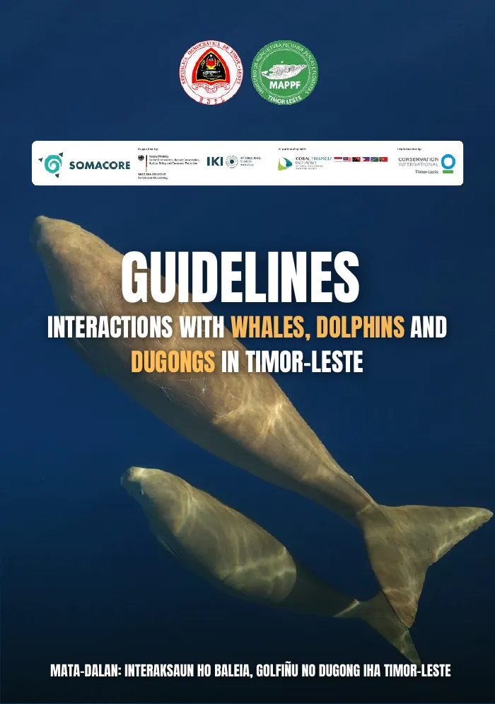 Whale Watching Guidelines: Interactions with Whales, Dolphins and Dugongs in Timor-Leste