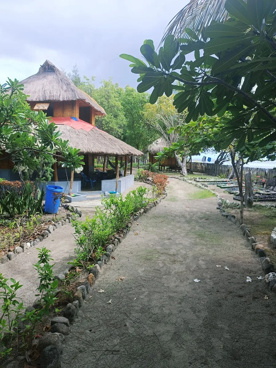 Barry's Place
